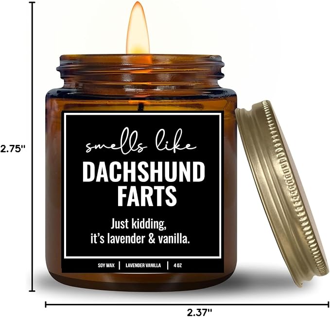 You Nique Designs, Dachshund Candle, 4 Oz, Dachshund Gifts for Women, Weiner Dog Gifts, Daschund, Wiener Dog, Daushaund, Dashound, All Natural Soy Vegan Aromatherapy Candles (Lavender&VanillaA 4oz)