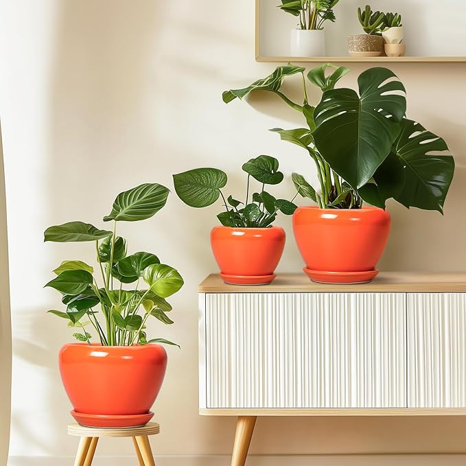 Ceramicfor Ceramic Plant Pot 6 Inch - Ceramic Planter for Indoor Plants Outdoor, Glaze Round Modern Flower Pot with Drainage Hole and Saucer, Gift for Plant Lover, Home Garden Room Decor, Orange