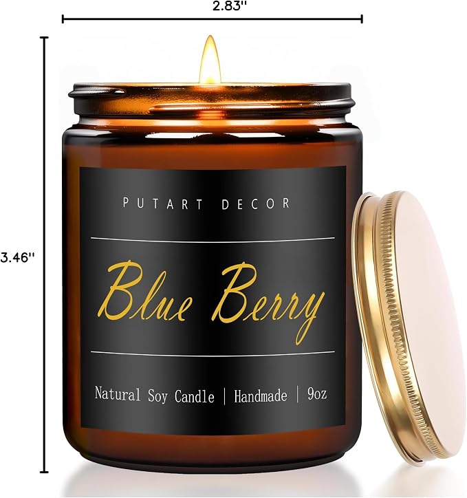 Blue Berry Candles for Home Scented, Natural Soy Aromatherapy Non Toxic Candles with Long Lasting Fragrance & Clean Burn, Luxury Jar Candle Gift for Women, Men, Home Decoration 9oz