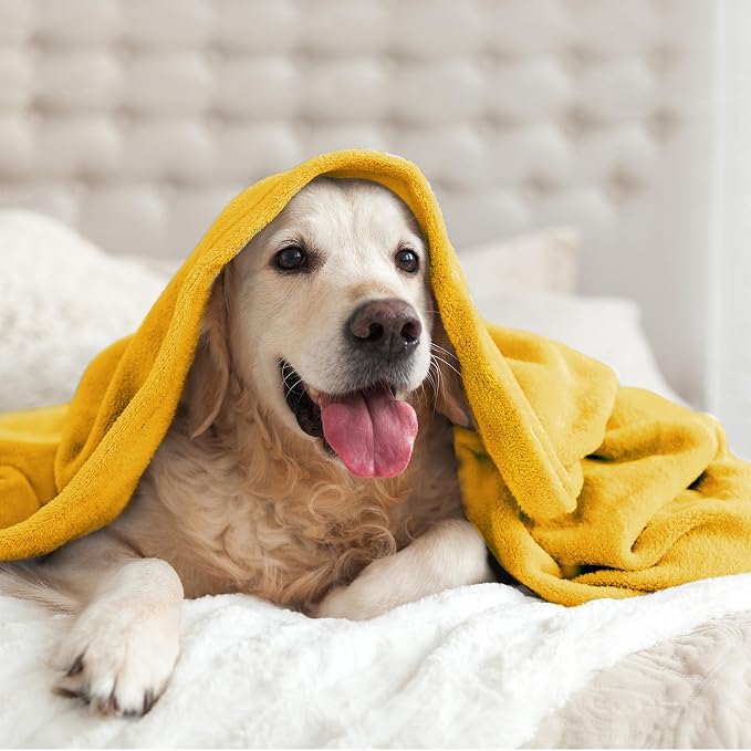 BEDELITE Fleece Blanket Soft Plush King Size Bed Blanket Yellow 108"x90" | Ultra Soft Fleece, Plush Microfiber, Lightweight Warmth, All Season Comfort, Fade Resistant, Machine Washable
