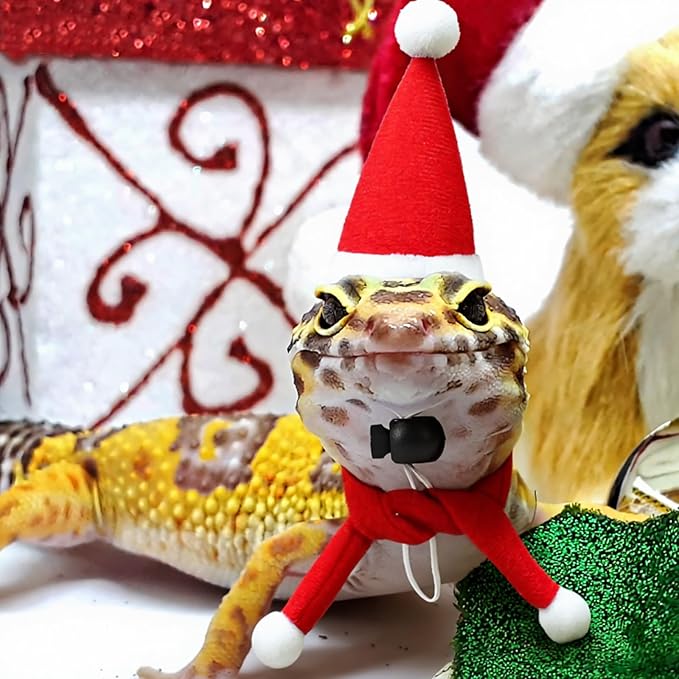 12pcs Christmas Pet Chicken Hat Scarf Set, Mini Adjustable Santa Hat Small Animal Hat Costume Set for Doll Hen Duck Hamster Guinea Pig Rabbit Kitty Puppy Parrot Lizard Xmas Cosplay Party Supply