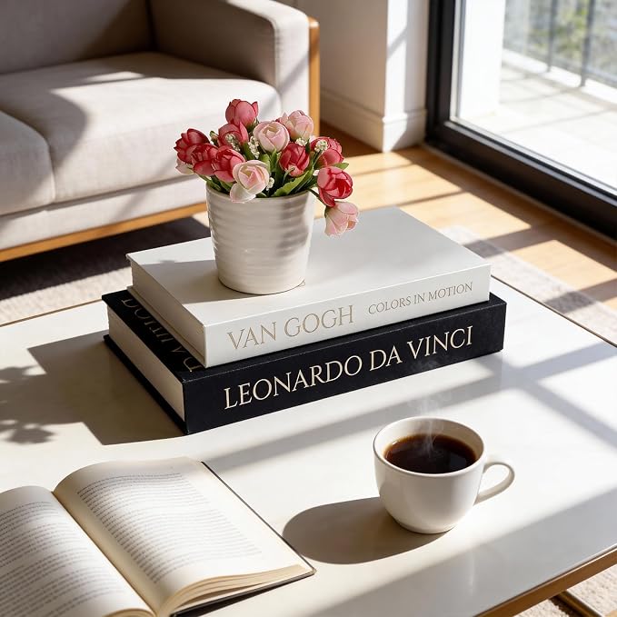 SUPERNIGHT Aesthetic Decorative Books for Home Decor, Set of 2 Linen Boxs | Storage Boxes for Living Room, Office, Coffee Table Decor, Elegant Fake/Faux Books, Hide Photo, Keepsake, Black+White