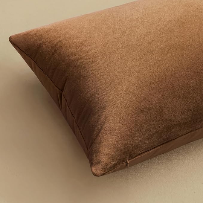 MIULEE Velvet Throw Pillow Covers 20x20 Inch Pack of 2 Chocolate | Soft Solid Decorative Pillow Covers, Modern Luxury Home Decor, for Couch Chair Sofa Bedroom Livingroom
