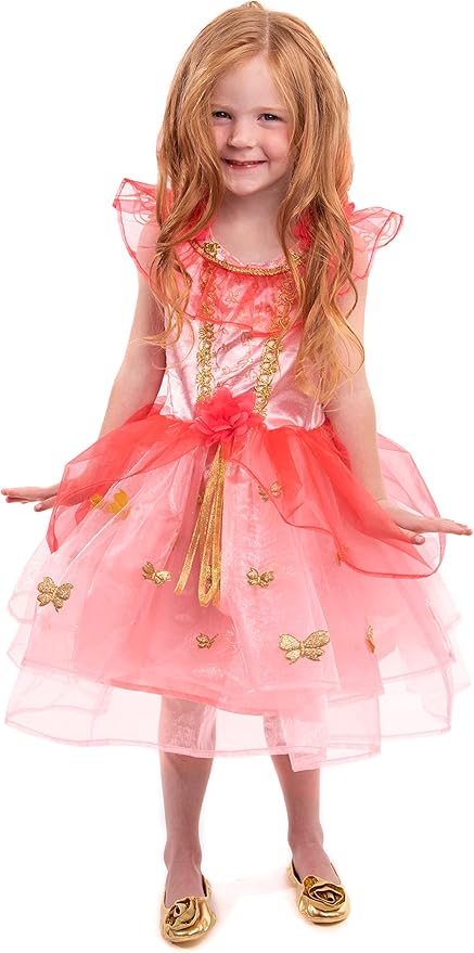 Little Adventures Butterfly Fairy Dress Up Costume