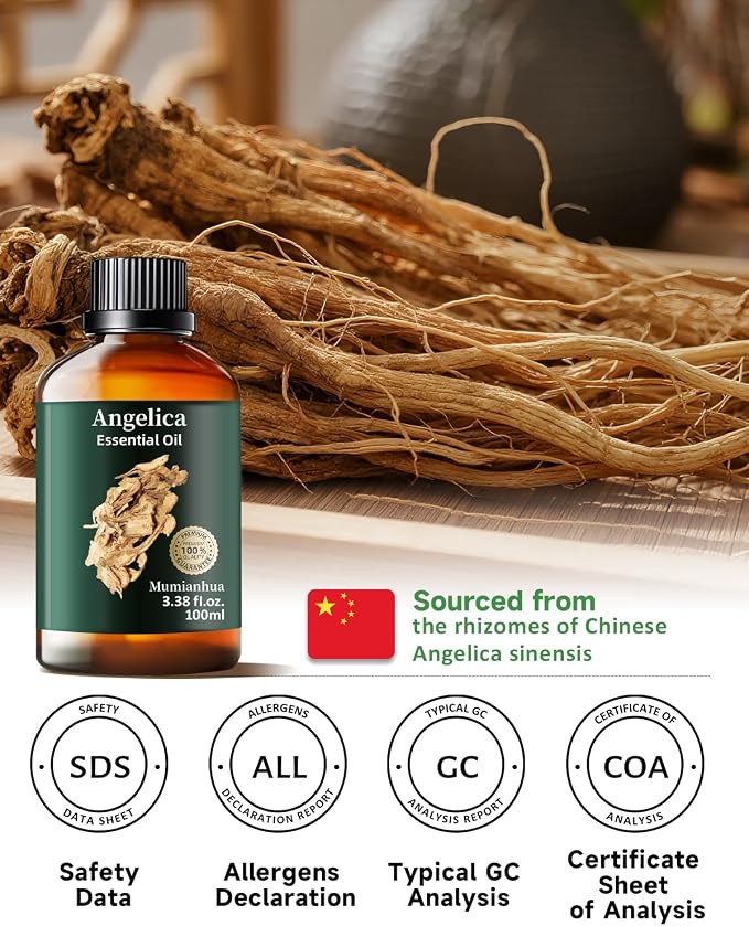 Angelica Root Essential Oil, Earthy Scent, Diffuser & DIY, 3.38 Fl Oz | Mumianhua Angelica Root Oil, Herbaceous, Spicy, Earthy Aroma. For Meditation, Skin, Hair & Candle Making