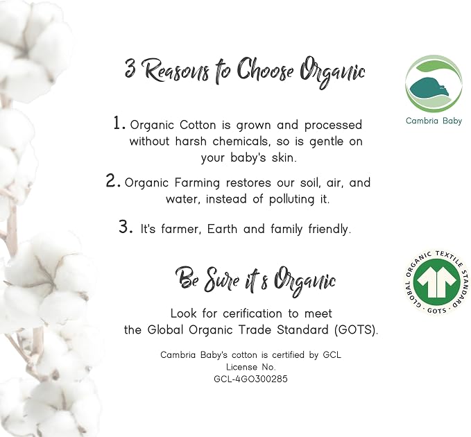 100% Organic Cotton Fitted Travel Crib Sheets, Perfectly Compatible with Guava Lotus, BabyBjorn, Dream On Me and All mattresses 22-26" Wide by 40-44" Long. Strap Holes in Corners. 2 Pk