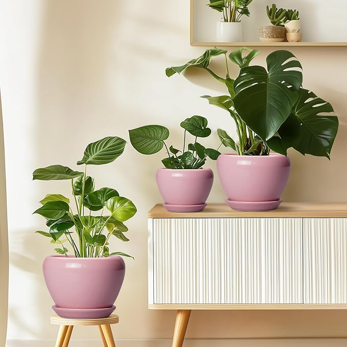 Ceramicfor 10 Inch Plant Pot - Ceramic Planter for Indoor Plants, Glaze Modern Round Planter with Drainage Hole and Saucer, Gifts for Plant Lovers, Office Patio Home Room Decor, Pink