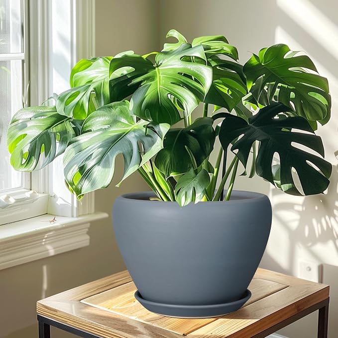 Ceramicfor 10 Inch Plant Pot - Ceramic Planter for Indoor Plants Large Plant Pot with Drainage Hole and Saucer Round Outdoor Planter Modern Flower Pot for Home Decor Gray