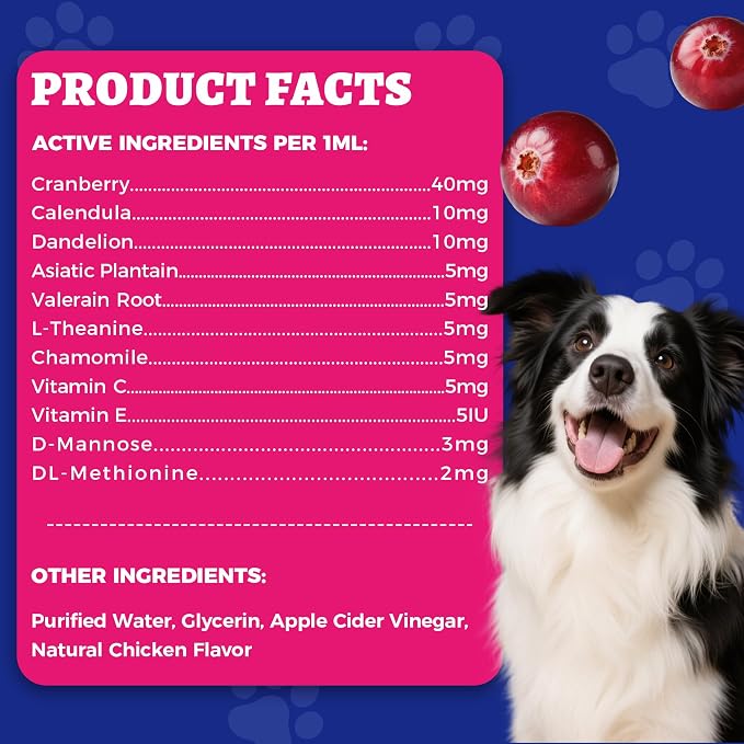 4oz Wellix Natural Cat & Dog UTI Treatment Drops,Cat & Dog Urinary Tract Infection Treatment - Cranberry & D-Mannose for Dogs & Cats - Kidney Health Supplement