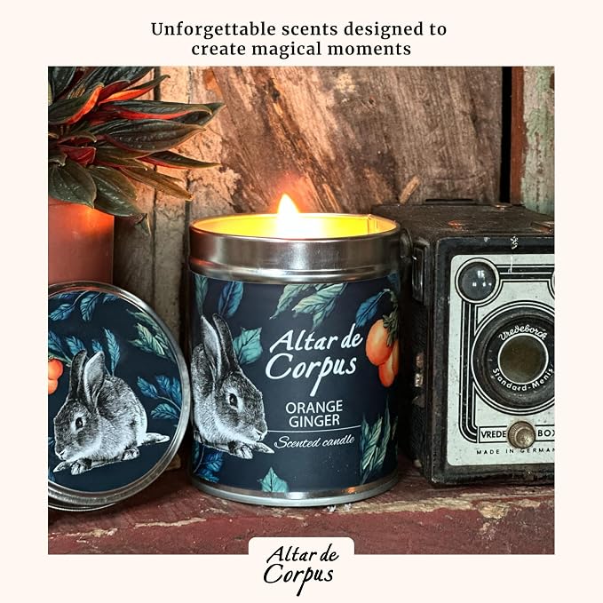 14 Oz Spring Candles for Home - Large Candle Orange Ginger - Mothers Day Gifts - Luxury Candles for Men - Premium Soy Candle Blend - Bathroom Decor