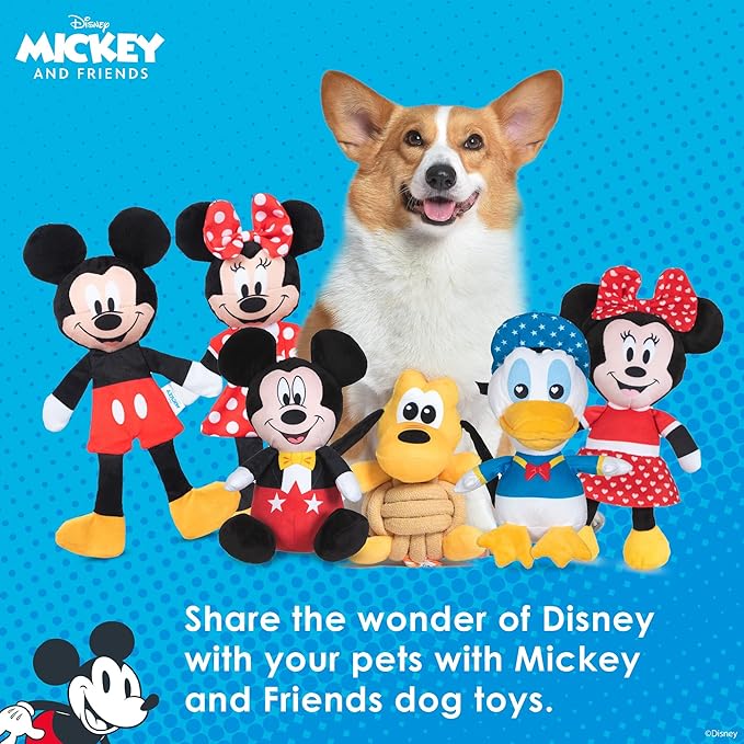 Disney for Pets Minnie Mouse Plush Squeaky with Flattie Crinkle Body Dog Toy 13.5in Dog Toys | Plush Squeaker Toy for Dogs Inspired by Minnie Mouse, Mickey and Friends