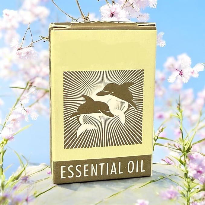 2 Packs - Song Ngu Essential Oil - Dau Nong Song Ngu - 10mL per Bottle with 2 Bottles per Order - Product of USA