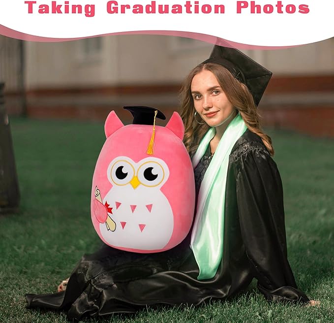 Our Honor Plush Soft Owl Stuffed Animal with Pink Body and Ears, Black Graduation Cap, Fringe and Diploma, Cute Pillow Toy Graduation Gift for Her, Kids