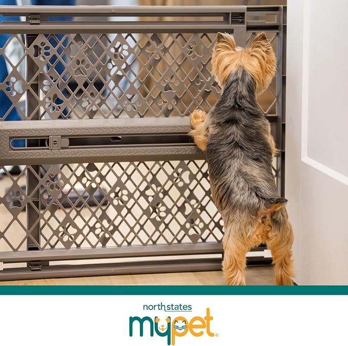 MYPET Paws Portable Pet Gate: 26-40" Wide Expandable, Pressure Mounted No Tools Needed, Durable Dog Gate for Doorways, Made in USA, 23" Tall, Fieldstone Gray