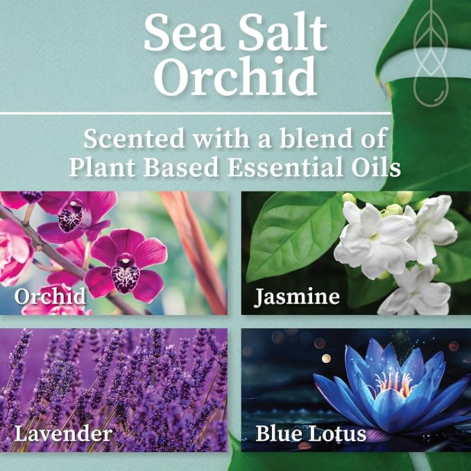 Hemlock Park Sea Salt Orchid Frosted Scented Candle | Crackling Wood Wick, Botanical Fragrance & Coconut Apricot Wax | Up to 60 Hour Burn Time | 8 oz | Made in USA