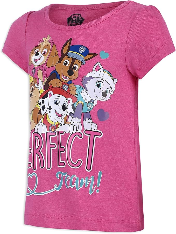 Paw Patrol Nickelodeon Girls Short Sleeve T-Shirt for Toddler and Little Kids