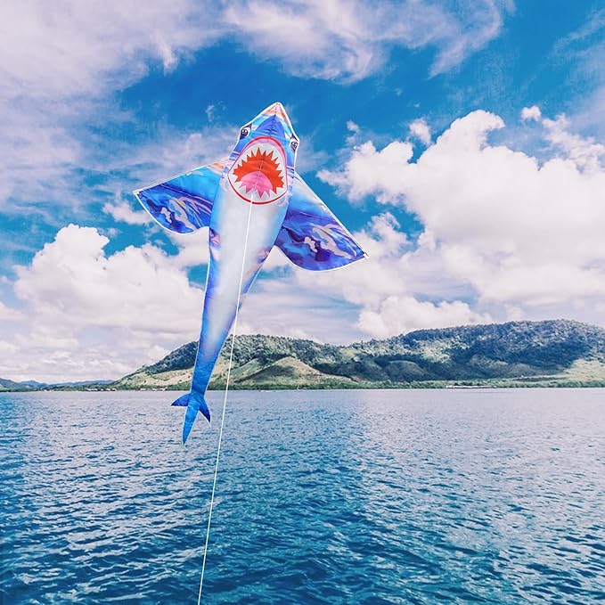 Kites for Kids and Adults, Easy to Fly for Beach, Single Line Kite Set for Beginners