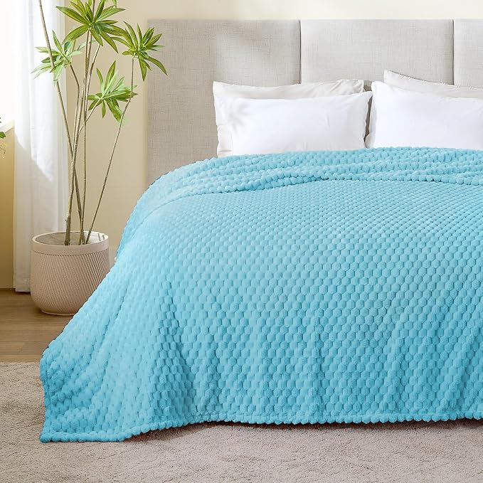 BEDELITE Light Blue Throw Blanket for Couch, Soft Gifts for Women, 50 * 60 | 3D Jacquard Decorative Fleece Blanket, Super Soft Plush Throws, Cute Birthday Gift for Women & Men, Suitable for All Seasons