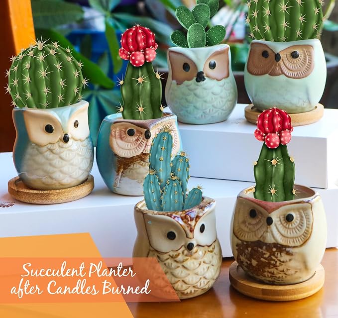 Kinforse Scented Candles Birthday Gifts for Women, Owl Gifts for Women, 6 Pack Novelty Owl Aromatherapy Candle Bulk Gift for Birthday Mother's Thanksgiving