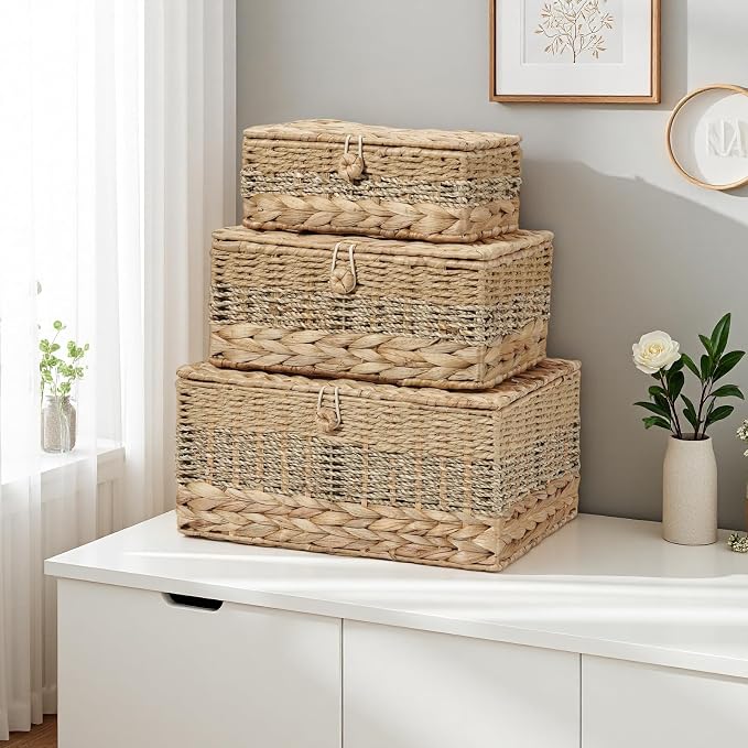 3PCS Wicker Storage Baskets with Lids Decorative Rattan Boxes | Handmade Natural Boho Woven Bins, Water Hyacinth Seagrass Paper Rope, Memory Keepsake Photo Makeup Container, Shelf Organizer