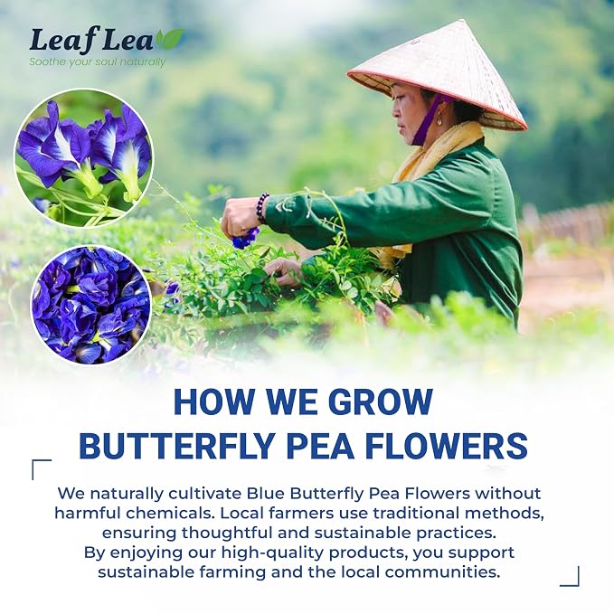 LeafLea Butterfly Pea Tea Bags, 100% Butterfly Pea Flowers, 80 Count | Natural Herbal Tea For Blue And Purple Drinks, Mocktails, Food Coloring, Caffeine-Free, Sugar-Free, Non-GMO, Pack Of 2