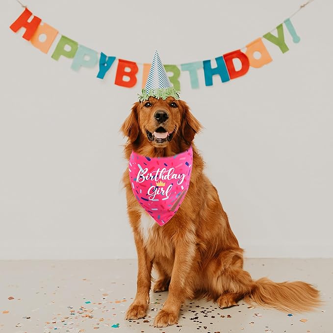 Realeaf Birthday Girl Dog Bandana, Dog Birthday Party Supplies,Premium Durable Fabric, Bandana for Small and Medium Dogs Pets (Pink, Small)