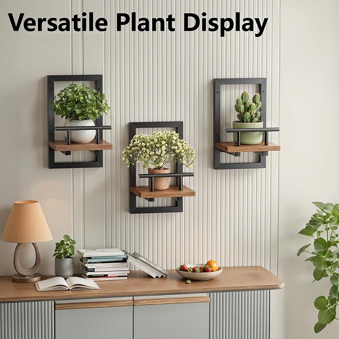 Sbosbo Floating Shelves for Wall Plant Shelf Indoor Wall Mounted Shelves | Wall Planters for Indoor Floating Plant Shelves for Bedroom, Living Room, Kitchen, Office, Bathroom Decor (2 Pack)
