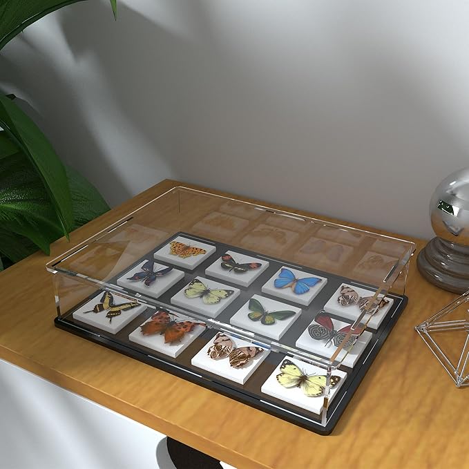 Figure Display Case, Short & Flat Acrylic Case for Collecting Books, Clear Box for Displaying Medals, Stamps, Collectibles and Cards,16" L x 13" W x 4" H