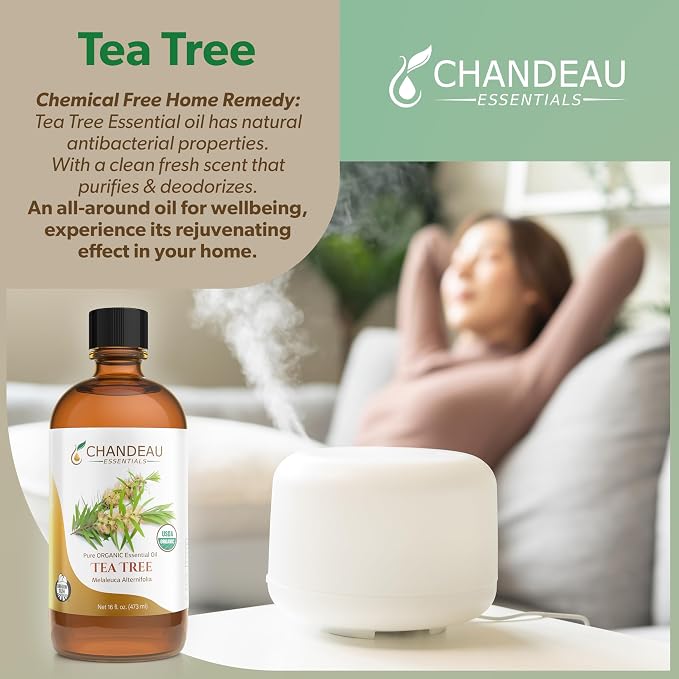 100% Pure Organic Essential Oil, Pure Tea Tree Essential Oil for Aromatherapy, Soap Making, Candles, Laundry, Perfume, Cleaners or Diffusers - Large Amber Glass Bottle, 16 oz.