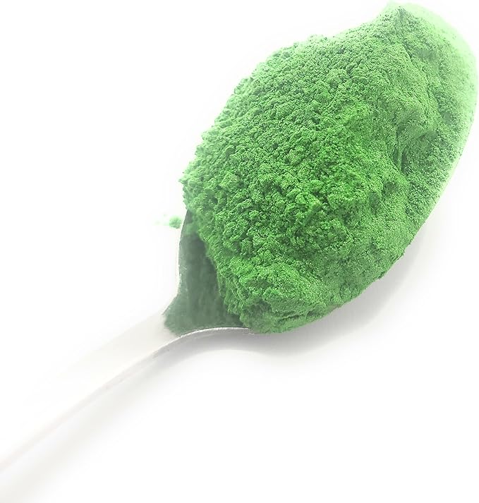 Pearl Mica Powder Pigment Dye - 500 grams (1.1 lbs) - Best Bulk Price for Fine Arts, Crafting, Painting, Bath bomb Soap Candle Slime Jewelry Making, Epoxy Resin, Woodworking (Green AG16)
