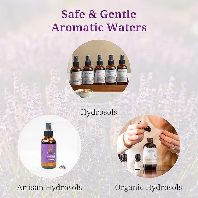 Aromatics International Carrot Seed Hydrosol 100ml | Earthy Herbaceous Warm Natural Aromatic Mist for Home, Skin & Daily Use