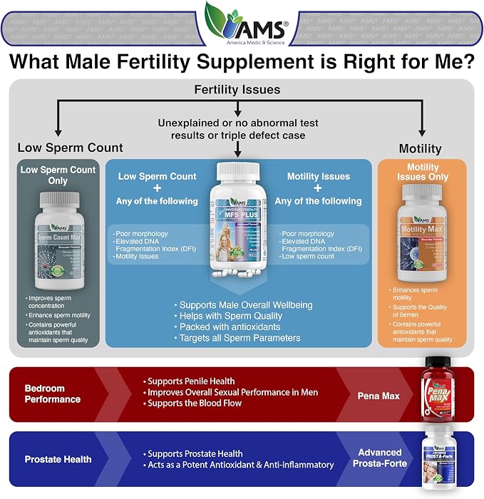 Motility Max – Supports Sperm Motility & Reproductive Health Promotes Healthy Blood Flow, Libido & Testosterone Levels Antioxidant Formula with L-Arginine, L-Carnitine & Essential Nutrients 60 Capsule