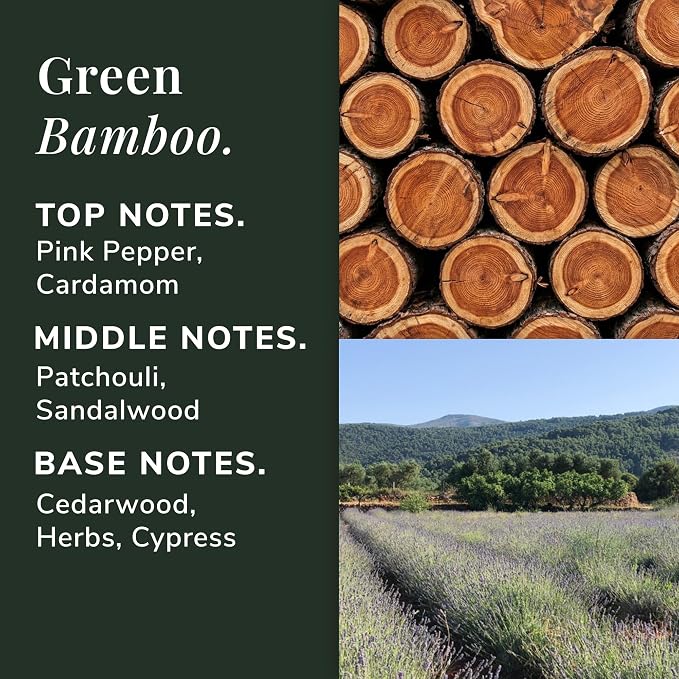 Green Bamboo Aromatherapy Candle – Patchouli, Sandalwood & Cypress Scented Candle, Plant-Based Wax, Mini 2.8 oz, 15 Hour Burn Time, Fresh & Grounding Candle