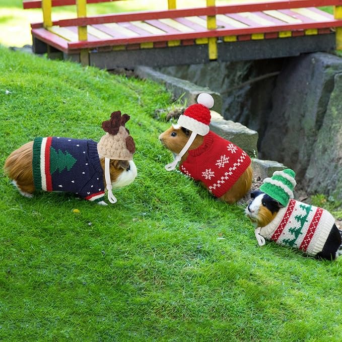 10 Pcs Guinea Pig Clothes, 5 Guinea Pig Costume Outfit, 5 Mini Hat with Adjustable Strap Small Animal Warm Vest Sweater Cozy Hand Knitted Hat for Hamster Bunny (Modern)