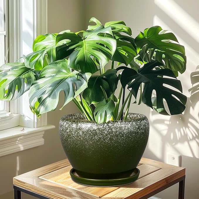 Ceramicfor 10 Inch Planter Pot - Ceramic Pots for Plants with Drainage Hole and Saucer, Round Large Flower Pot for Indoor Plants, Dark Green