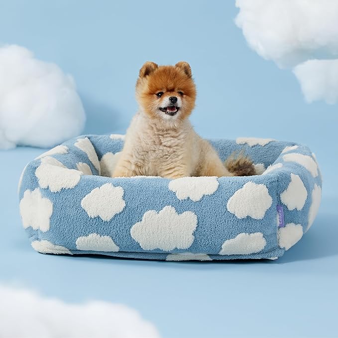 Lesure Cute Dog Bed for Small Dogs - Washable Puppy Beds,Cozy Rectangle Orthopedic Pet Sofa with Jacquard Shaggy Plush & Anti Slip Bottom,25x21x7inches