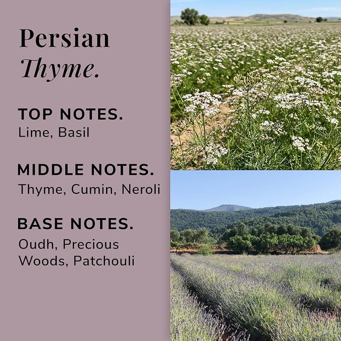 Persian Thyme Aromatherapy Candle – Thyme, Neroli & Oudh Scented Candle, Plant-Based Wax, Mini 4.5 oz, 15 Hour Burn Time, Exotic & Woody Candle