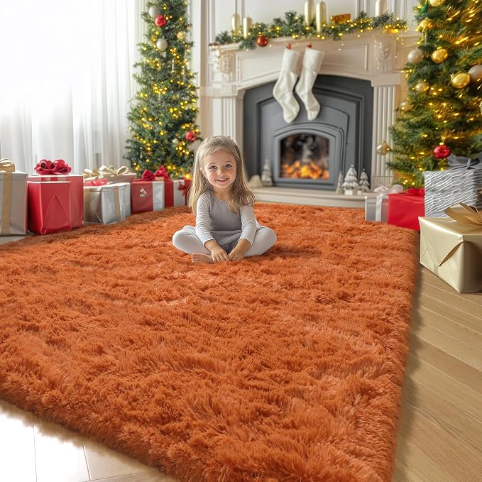 Amdrebio Burnt Orange Area Rugs for Living Room Bedroom, Fluffy Shaggy Fuzzy Thick Shag Rug 5x7 for Kids Room Decor, Modern Cute Plush Furry Dark Orange Carpet for Nursery Dorm Classroom Playroom