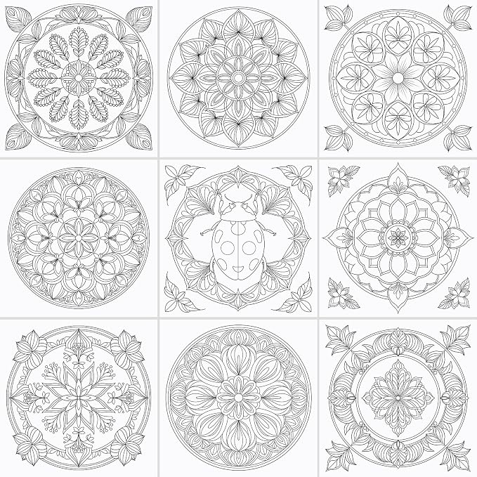FUNLAVIE Adult Coloring Book - Mandala Coloring Books for Adults Relaxation and Teens Stress Relief, Featuring Large Print Mandalas Insect & Bloom Patterns for Women Mindfulness, Spiral Bound