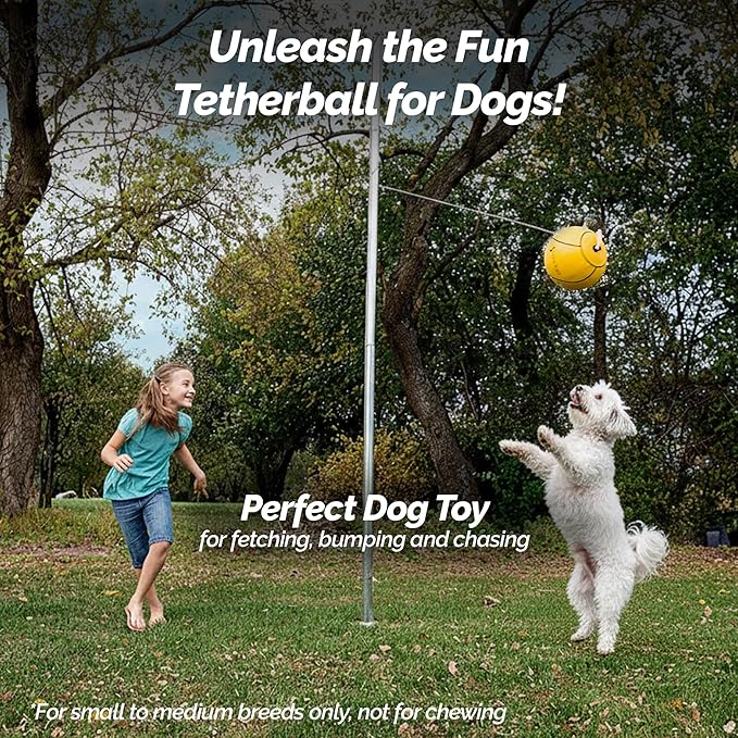 STERLING Sports Full Size Tetherball with Rope Set Neon Collection for Kids Outdoor Backyard Replacement Ball