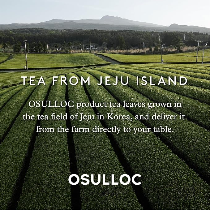 OSULLOC Honey Pear Tea (Sweet Pear & Honey Flavor), Iced tea bags Fruit tea Blend, Premium Teabags from Jeju Island, 20 count