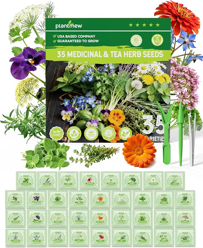 Medicinal & Tea Herb Seeds for Planting - 35 Non-GMO Variety Pack for Indoor/Outdoor Garden: Anise, Bergamot, Borage, Fennel, Chamomile, Dandelion, Oregano, Hyssop, Catnip Seeds & More