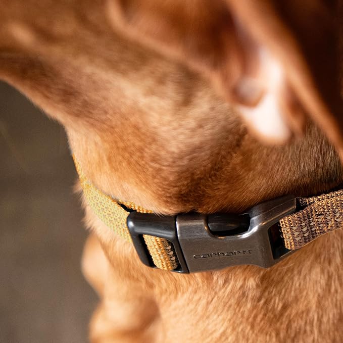 Carhartt Fully Adjustable Nylon Webbing Collars for Dogs, Reflective Stitching for Visibility, Hunter Orange (Nylon Webbing), Large