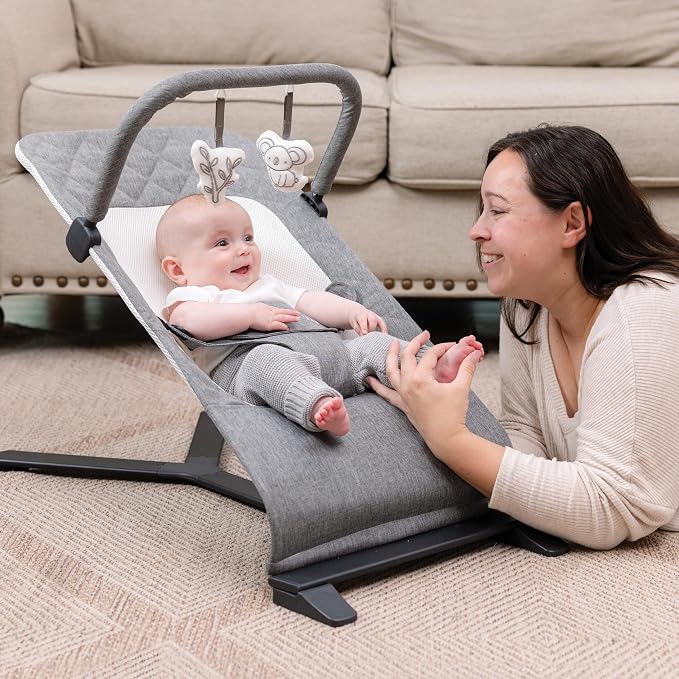 Baby Delight Alpine Deluxe Portable Bouncer | Infant | 0 – 6 months | Charcoal Tweed