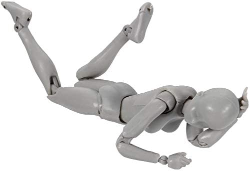 AXITWXIT Action Figures Body-Kun DX & Body-Chan DX PVC Figure Model Drawing for S H Figuarts with Box for Artists (Gray, Female)