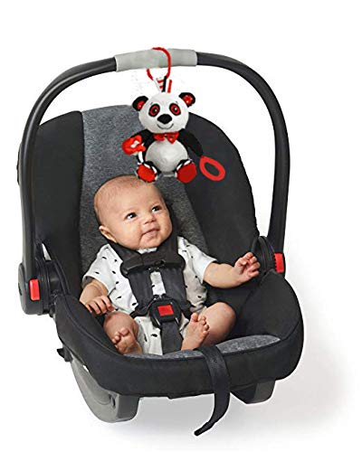 Panda Plush with High Contrast Colors, Cute Stuffed Animal Toys for Baby, Panda Toy, Teether with Clip, Multiple Textures, Taggies, Squeaky Body, Crinkle Fabric, Baby Gift, Teething Toy, 8" Tall