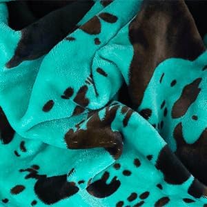 Twin Size Blanket for Bed Couch, Cozy Soft Teal Throw Blanket for Women, Cute Turquoise Fleece Throws for Girls, Graduation Decorations Gift for Her Him School Dorm, 60x80 Inches