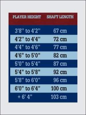 FBP Floorball 4v4 Adult Set, 8 Straight Blade Floorball Sticks in 95 cm Length for high School and Adult Players, 8 Balls, 2 Goals and a Big stickbag
