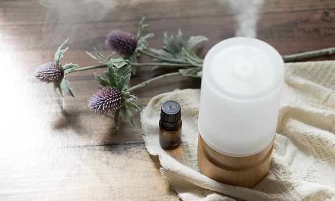 Aromatherapy Essential Oil - 100% Pure Aromatherapy Grade Essential Oil by Nature's Note Organics (10 Ml, Absinthe (Wormwood))