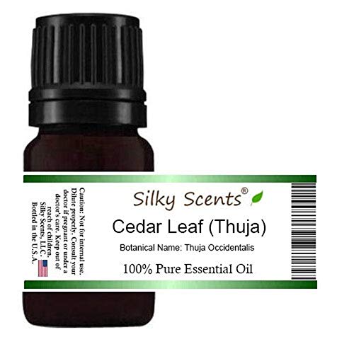 Cedar Leaf or White Cedar Essential Oil (Thuja Occidentalis) 100% Pure and Natural 10 ML